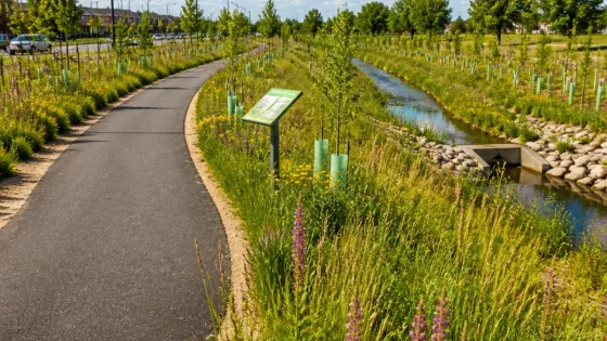 Sterling Heights unveils $1M trail and habitat project to reduce flooding