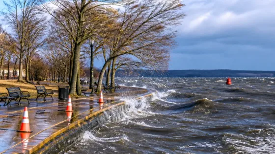 Washington braces for breezy conditions as nor'easter tracks offshore this weekend