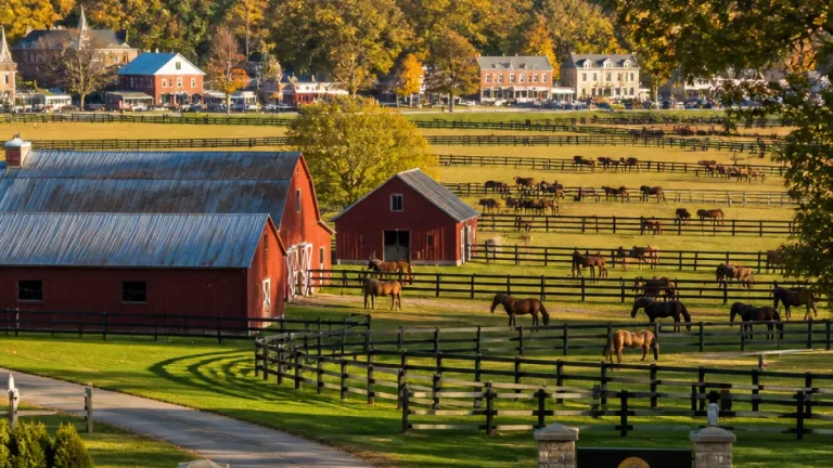 Army buys Middleburg horse farm to house Old Guard caisson horses, dividing town