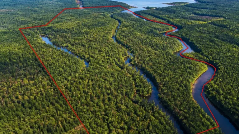 Michigan to acquire nearly 4,500 acres on Keweenaw Peninsula in $4.9M conservation deal