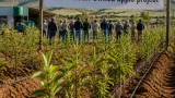 100% black‑owned apple project near Bethlehem aims to grow jobs and shift SA production balance