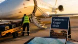 Airlink to launch first direct Gqeberha–Mbombela service, boosting access to Kruger