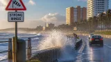 Cold front brings rain and gusty winds to Eastern Cape this weekend