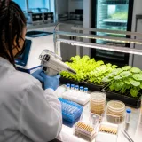 Scientists insert pig myoglobin into lettuce, producing measurable animal protein in plants
