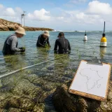 African researchers call for urgent scaling up of seagrass restoration and monitoring
