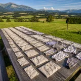 Buried underwear used to reveal worrying signals about soil health in new international study