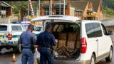 Six arrested after separate Mpumalanga dagga busts seize over 325kg valued at about R2m