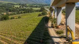 Stellenbosch winemakers and residents warn R44 upgrade could scar vineyards and change town