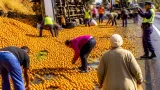 Truck overturns near White River; motorists remove oranges as police and driver clash over scene control