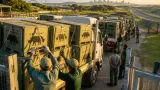 Twenty black rhinos moved from KwaZulu‑Natal to Botswana in major conservation transfer