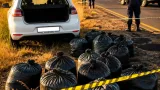 Two arrested in Morgenzon after seizure of about 180kg of dagga worth roughly R1 million