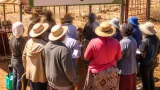 Women farmers in Botshabelo urge urgent support as land access and stock theft limit growth