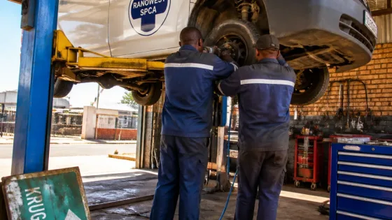 Krugersdorp garage services RandWest SPCA vehicles for free, helping local rescues