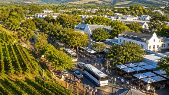 Stellenbosch tourism generates R13 billion in 2025 as visitor numbers rise