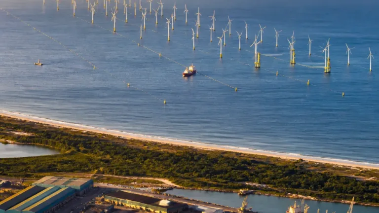 Plans for 810MW Gagasi offshore wind farm advance off Richards Bay coast