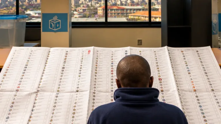 Record 241 parties to contest Gauteng metro polls as crowded ballots reshape city politics
